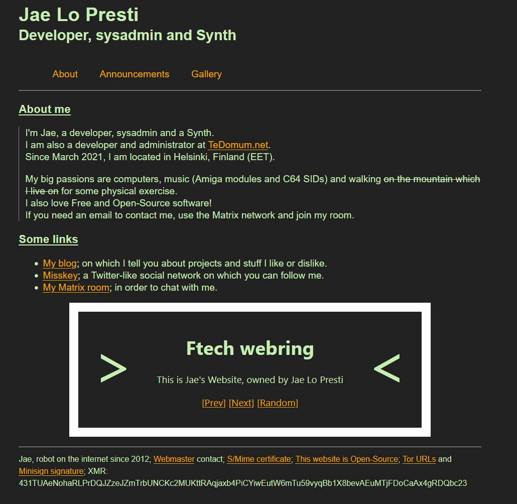 Screenshot of my website which looked like the terminal one without the term font and with a webring.