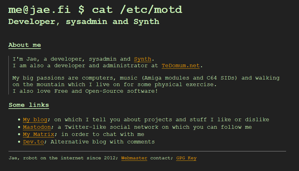 Screenshot of the first version of jae.fi which looks like a terminal doing a cat on a file.